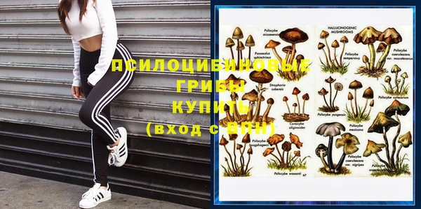 а пвп мука Абаза